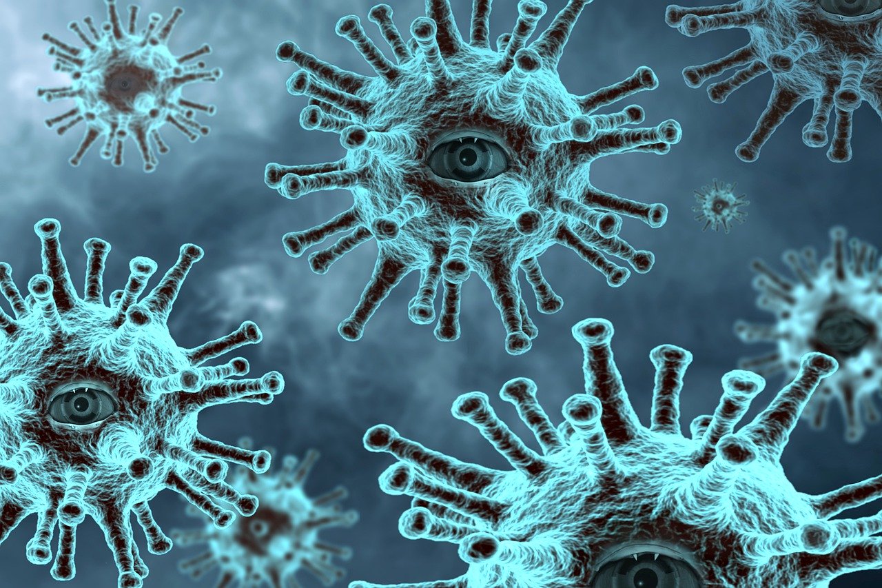 The Online Scams of the Coronavirus